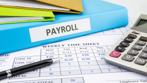 Worry Less Bookkeeping Payroll